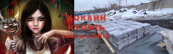 стафф Алзамай